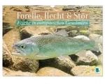 Forelle, Hecht und St&ouml;r: Fische in europ&auml;ischen Gew&auml;ssern (Wandkalender 2027...