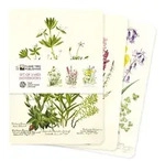 Dreier Set Mittelformat-Notizb&uuml;cher: Royal Botanic Garden Edinburgh