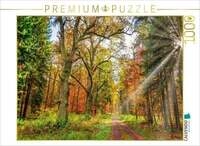 CALVENDO Puzzle M&auml;rchenhafter Wald mit knorrigen Eichen im Herbstlicht l&auml;dt...