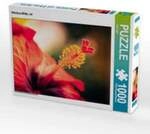 CALVENDO Puzzle Hibiskus-Bl&uuml;te, rot 1000 Teile Lege-Gr&ouml;&szlig;e 64x48cm Foto-Puzzle f&uuml;r