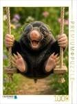 CALVENDO Puzzle Gartenspa&szlig; 1000 Teile Lege-Gr&ouml;&szlig;e 64 &times; 48 cm Foto-Puzzle f&uuml;r