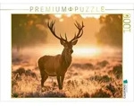 CALVENDO Puzzle K&ouml;nig des goldenen Morgens 1000 Teile Lege-Gr&ouml;&szlig;e 64 &times; 48 cm