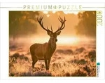 CALVENDO Puzzle K&ouml;nig des goldenen Morgens 2000 Teile Lege-Gr&ouml;&szlig;e 90 &times; 67 cm
