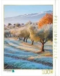 CALVENDO Puzzle Ein Motiv aus dem Kalender Wo die Zeit Wurzeln schl&auml;gt 1000...