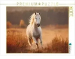 CALVENDO Puzzle Wei&szlig;es Pferd, Freiheit in Bewegung 1000 Teile Lege-Gr&ouml;&szlig;e...