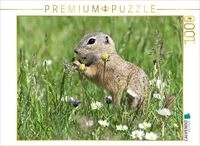 CALVENDO Puzzle Immer wieder lecker 1000 Teile Lege-Gr&ouml;&szlig;e 64x48cm Foto-Puzzle...
