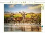 CALVENDO Puzzle Augenblick der Stille. 1000 Teile Lege-Gr&ouml;&szlig;e 64 &times; 48 cm