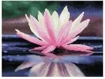Diamond Dotz Seerose