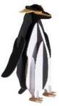 3D-Modell, Pinguin