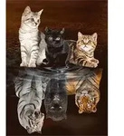 PRACHT Diamond Painting Drei Katzen 40x30cm