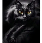 Diamond Painting Schwarze Katze (Design 25x35)30x40 cm