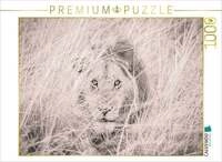CALVENDO Puzzle Ein Motiv aus dem Kalender L&ouml;wen in der Maasai Mara von Kenia 1000