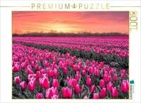 CALVENDO Puzzle Tulpenmeer im Abendlicht 1000 Teile Lege-Gr&ouml;&szlig;e 64 &times; 48 cm