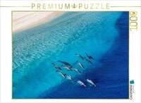 CALVENDO Puzzle Durch Str&ouml;mung und Tide - Delfine 1000 Teile Lege-Gr&ouml;&szlig;e 64x48cm