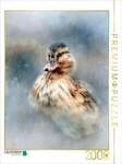 CALVENDO Puzzle Ente, ein leiser Moment am Wasser 2000 Teile Lege-Gr&ouml;&szlig;e 90 &times; 67 cm