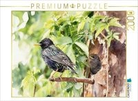 CALVENDO Puzzle Star mit Nachwuchs 2000 Teile Lege-Gr&ouml;&szlig;e 90 &times; 67 cm Foto-Puzzle