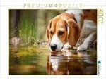CALVENDO Puzzle Beagle - Durstige Sp&uuml;rnase 2000 Teile Lege-Gr&ouml;&szlig;e 90 &times; 67 cm