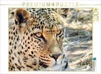 CALVENDO Puzzle Leopard in der Kalahari 1000 Teile Lege-Gr&ouml;&szlig;e 64x48cm Foto-Puzzle