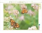 CALVENDO Puzzle Rotbraunes Ochsenauge (Pyronia tithonus) 1000 Teile Lege-Gr&ouml;&szlig;e 64