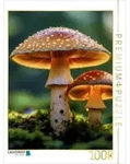 CALVENDO Puzzle Bunte Vielfalt der Natur 1000 Teile Lege-Gr&ouml;&szlig;e 64 &times; 48 cm
