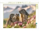 CALVENDO Puzzle Gipfelgl&uuml;ck mit Aussicht 1000 Teile Lege-Gr&ouml;&szlig;e 64 &times; 48 cm