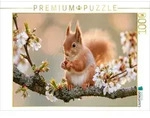 CALVENDO Puzzle Kleiner Wirbelwind im Fr&uuml;hlingslicht 1000 Teile Lege-Gr&ouml;&szlig;e 64 &times;
