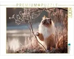 CALVENDO Puzzle Heilige Birma - Zauber des ersten Frosts 2000 Teile...