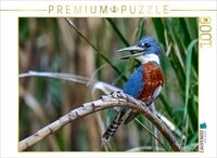CALVENDO Puzzle Rotbrustfischer aus Costa Rica 1000 Teile Lege-Gr&ouml;&szlig;e 64x48cm