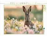 CALVENDO Puzzle Sommergl&uuml;ck auf langen Ohren 2000 Teile Lege-Gr&ouml;&szlig;e 90 &times; 67 cm