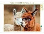 CALVENDO Puzzle Alpakas - Herzensw&auml;rme auf der Weide 1000 Teile Lege-Gr&ouml;&szlig;e 64x48cm
