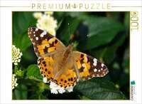 CALVENDO Puzzle Distelfalter 1000 Teile Lege-Gr&ouml;&szlig;e 64 &times; 48 cm Foto-Puzzle f&uuml;r