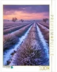 CALVENDO Puzzle Lavendel im winterlichen Licht 1000 Teile Lege-Gr&ouml;&szlig;e 64x48cm