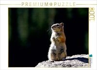 CALVENDO Puzzle Chipmunk 1000 Teile Lege-Gr&ouml;&szlig;e 64 &times; 48 cm Foto-Puzzle f&uuml;r