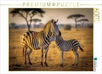 CALVENDO Puzzle Streifen im Sonnenlauf. 1000 Teile Lege-Gr&ouml;&szlig;e 64 &times; 48 cm