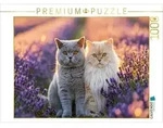 CALVENDO Puzzle Lavendelduft & Katzengl&uuml;ck 1000 Teile Lege-Gr&ouml;&szlig;e 64 &times; 48 cm