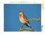 CALVENDO Puzzle Bluth&auml;nfling 1000 Teile Lege-Gr&ouml;&szlig;e 64x48cm Foto-Puzzle f&uuml;r