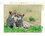 CALVENDO Puzzle Geparden - Seelenverwandte der Wildnis 1000 Teile Lege-Gr&ouml;&szlig;e