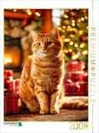 CALVENDO Puzzle Goldener Blick 2000 Teile Lege-Gr&ouml;&szlig;e 90 &times; 67 cm Foto-Puzzle f&uuml;r