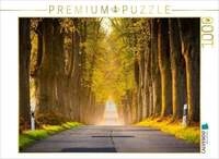 CALVENDO Puzzle Allee im Morgenlicht 1000 Teile Lege-Gr&ouml;&szlig;e 64x48cm Foto-Puzzle f&uuml;r
