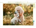 CALVENDO Puzzle Zarte Umarmung in der Natur 1000 Teile Lege-Gr&ouml;&szlig;e 64x48cm