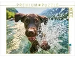 CALVENDO Puzzle Platsch! So geht Sommer 1000 Teile Lege-Gr&ouml;&szlig;e 64 &times; 48 cm