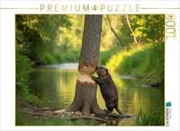 CALVENDO Puzzle Fast geschafft - Biber mit Baumstamm 1000 Teile Lege-Gr&ouml;&szlig;e 64x48cm