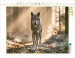 CALVENDO Puzzle Die Seele des wilden Waldes 1000 Teile Lege-Gr&ouml;&szlig;e 64 &times; 48 cm