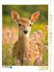 CALVENDO Puzzle Neugierig 2000 Teile Lege-Gr&ouml;&szlig;e 90 &times; 67 cm Foto-Puzzle f&uuml;r