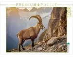 CALVENDO Puzzle Deutschlands beeindruckendste Tiere im Fokus. 1000 Teile Lege-Gr&ouml;&szlig;e