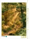 CALVENDO Puzzle Wenn der Wald leuchtet 1000 Teile Lege-Gr&ouml;&szlig;e 64 &times; 48 cm