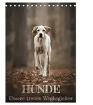 Hunde - Unsere treuen Wegbegleiter. (Tischkalender 2027 DIN A5 hoch), CALVENDO