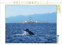 CALVENDO Puzzle Whale Watching am Race Rocks Lighthouse in British Columbia 2000