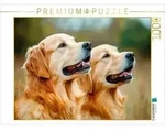 CALVENDO Puzzle Golden Retriever Duo 1000 Teile Lege-Gr&ouml;&szlig;e 64x48cm Foto-Puzzle f&uuml;r