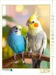 CALVENDO Puzzle Ungew&ouml;hnliche Freunde - Nymphensittich und Wellensittich 1000 Teile